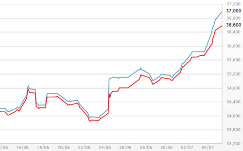 Diễn biến giá vàng SJC tại DOJI - Nguồn: DOJI.<br>