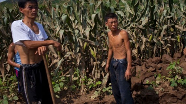 “So găng” kinh tế Triều Tiên - Hàn Quốc