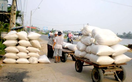 Giá gạo 25% tấm của Việt Nam đã hạ về mức 365-370 USD/tấn, FOB cảng Sài Gòn, từ mức 375 USD/tấn của tuần trước nữa.