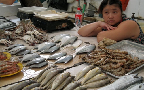 Một quầy bán cá ở Trung Quốc - Ảnh: Shanghai Daily.<br>