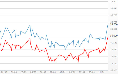 Diễn biến giá vàng SJC tại DOJI - Nguồn: DOJI.<br>