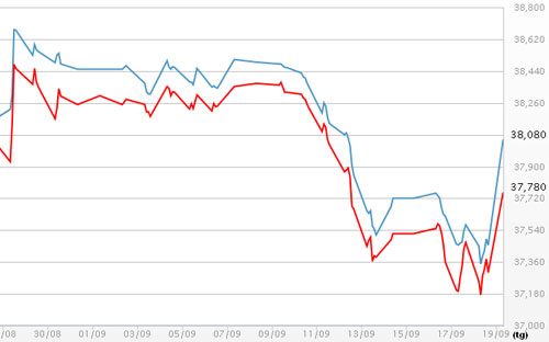 Diễn biến giá vàng SJC tại DOJI - Nguồn: DOJI.<br>