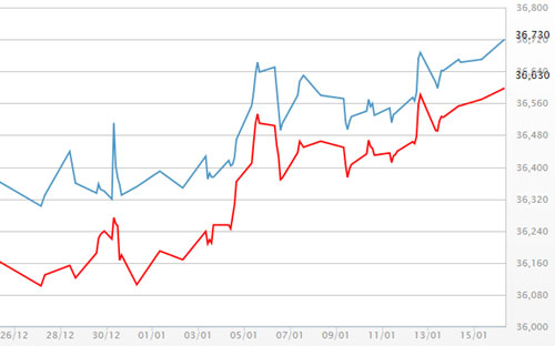 Diễn biến giá vàng SJC tại DOJI - Nguồn: DOJI.