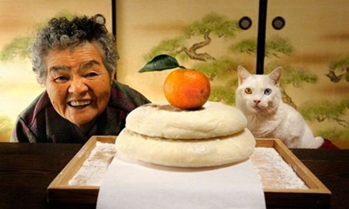 Mèo trong kinh doanh ở Nhật Bản