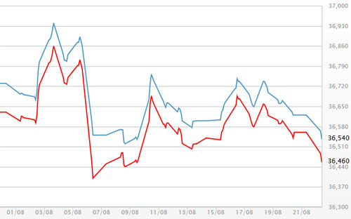 Diễn biến giá vàng SJC tại DOJI - Nguồn: DOJI.<br>