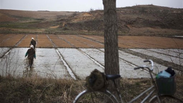 Lính Triều Tiên tháo súng, xuống ruộng cày