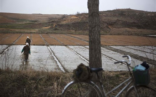Vào thời điểm này, các binh sỹ Triều Tiên tạm gác cây súng trên tay, để tập trung vào sản xuất nông nghiệp - Ảnh: AP.