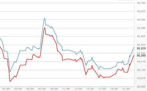 Diễn biến giá vàng SJC tại DOJI - Nguồn: DOJI.<br>