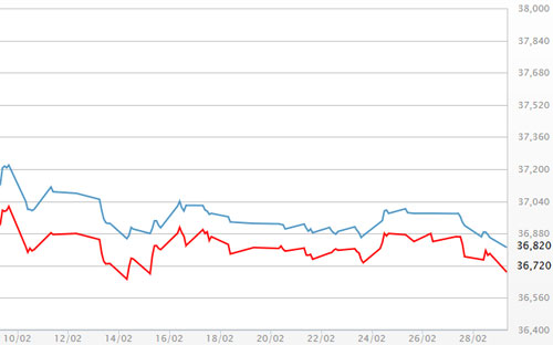 Diễn biến giá vàng SJC tại DOJI - Nguồn: DOJI.<br>