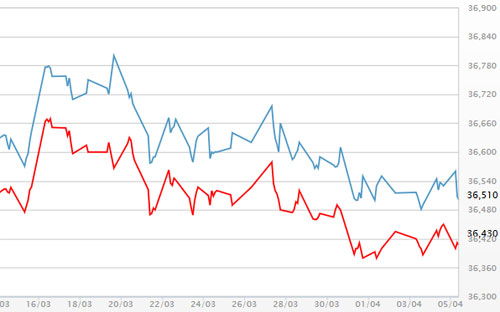 Diễn biến giá vàng SJC tại DOJI - Nguồn: DOJI.<br>