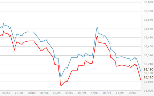 Diễn biến giá vàng SJC tại DOJI - Nguồn: DOJI.<br>