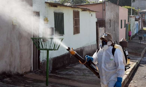 Lo virus Zika, nhiều nước ra cảnh báo du lịch Singapore 