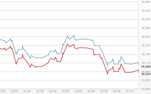 Diễn biến giá vàng SJC tại DOJI - Nguồn: DOJI.<br>