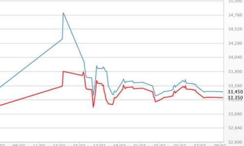 Giá vàng chững, USD tự do vẫn rẻ hơn ngân hàng