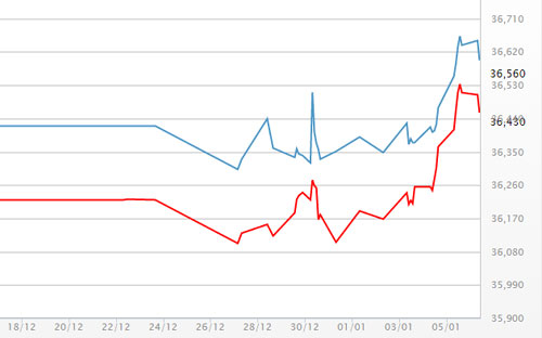 Diễn biến giá vàng SJC tại DOJI - Nguồn: DOJI.