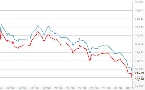 Diễn biến giá vàng SJC tại DOJI - Nguồn: DOJI.<br>
