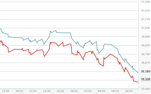 Diễn biến giá vàng SJC tại DOJI - Nguồn: DOJI.<br>
