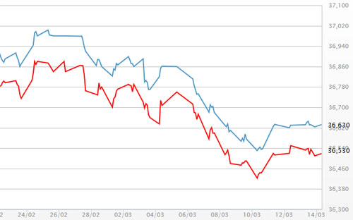 Diễn biến giá vàng SJC tại DOJI - Nguồn: DOJI.<br>