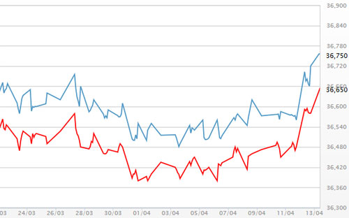 Diễn biến giá vàng SJC tại DOJI - Nguồn: DOJI.<br>