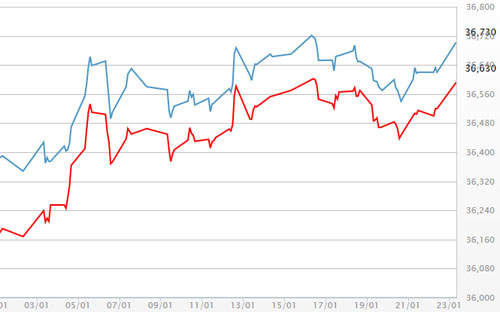 Diễn biến giá vàng SJC tại DOJI - Nguồn: DOJI.<br>
