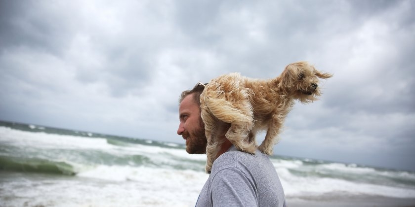 Theo dự báo, trong đêm ngày thứ Năm và sáng sớm ngày thứ Sáu, bão bắt đầu ảnh hưởng đến một số vùng của Florida - Ảnh: Business Insider.<br>