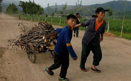 Nền kinh tế tự cung tự cấp của Triều Tiên không đủ sức đáp ứng các nhu cầu về lương thực và năng lượng của người dân. 