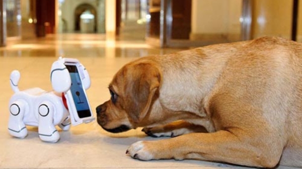 10 phát minh kỳ diệu nhất năm 2012