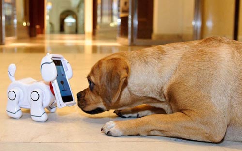 VnEconomy