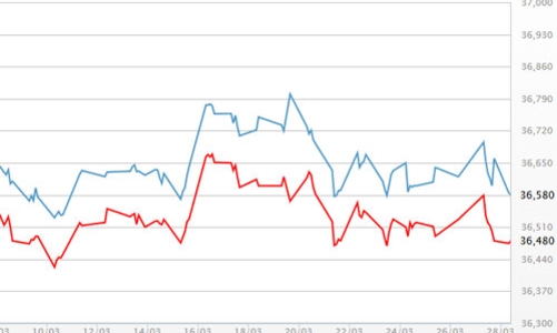 Giá vàng, USD tự do cùng giảm