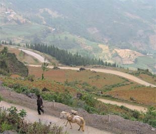 Một cung đường vùng cao ở Hà Giang.