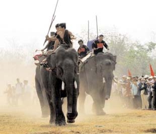 Lễ hội đua voi ở Tây Nguyên.