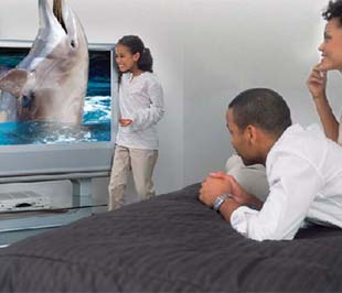 HDTV là xu hướng giải trí tại gia trong một vài năm tới.