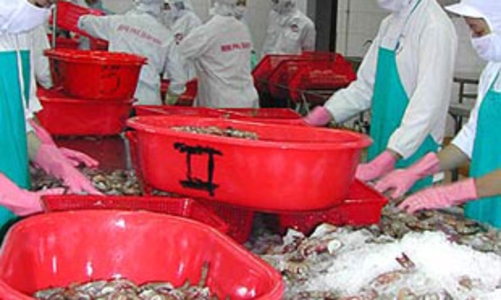 Xuất khẩu thủy sản năm 2008 vẫn đạt trên 4,5 tỷ USD 