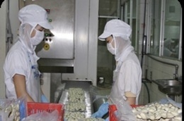 Sản xuất tại Công ty DHC.