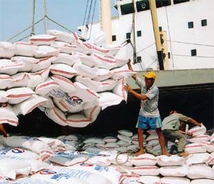 Tháng 11/2008 là tháng thứ 6 liên tiếp nhập siêu được khống chế dưới mức 1 tỷ USD.