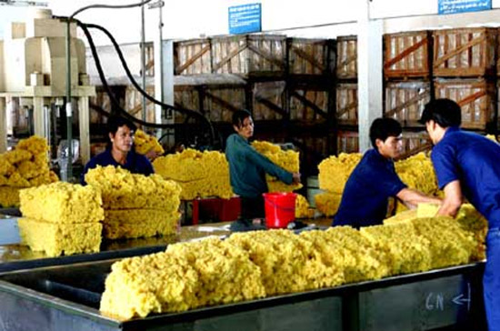 Theo dự báo, sản lượng cao su toàn cầu năm 2013 sẽ đạt mức 11,9 triệu tấn, so với mức 11,47 triệu tấn trong năm nay.