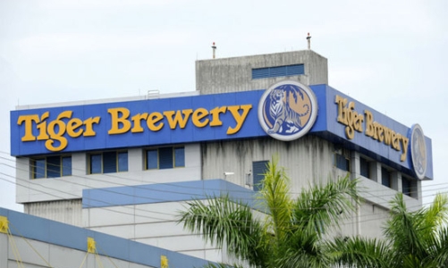 Heineken muốn thâu tóm toàn bộ hãng sản xuất bia Tiger