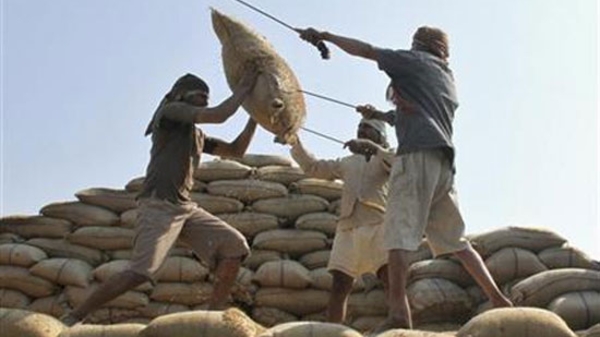 Được mùa, Ấn Độ tăng mạnh giá thu mua lúa gạo