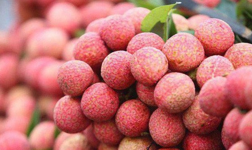 Việt Nam xuất khẩu vải, nhãn đứng nhì thế giới