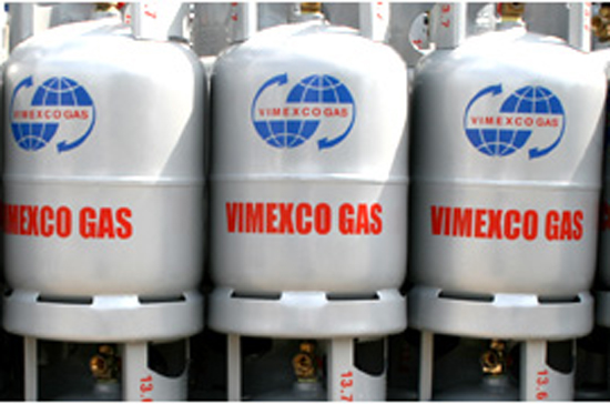 Năm 2010, sau kiểm toán VMG lỗ hơn 39 tỷ đồng