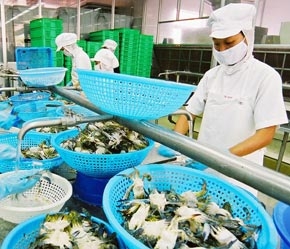 Đầu năm 2007 đã cho thấy có những tín hiệu đáng mừng về tăng trưởng cả về giá trị xuất khẩu và năng lực sản xuất chế biến - Ảnh: Việt Tuấn