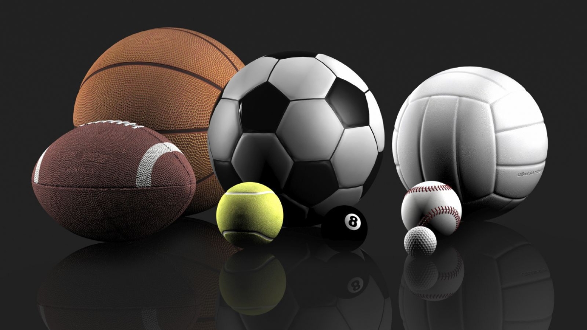 Theo Bộ trưởng Bộ Văn hoá - Thể thao và Du lịch Nguyễn Ngọc Thiện, quan điểm của Thủ tướng là không nên đưa quy định đặt cược thể thao vào luật, mà nên để Chính phủ thực hiện theo nghị định. 