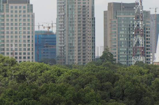 Thị trường bất động sản Tp.HCM chắc chắn sẽ là một tấm gương để các nhà đầu tư Hà Nội soi vào.