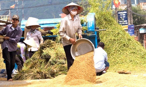 Tổ chức hội nghị trực tuyến toàn quốc về tam nông