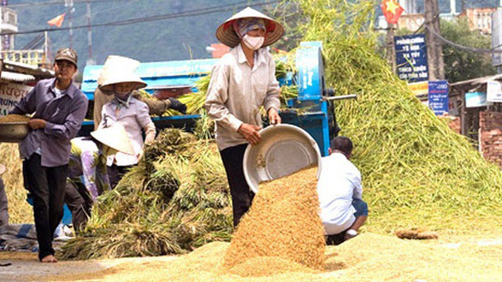 Ngày 27/11/2018 sẽ khai mạc triển lãm về nông nghiệp, nông dân, nông thôn tại Trung tâm Hội nghị Quốc gia.