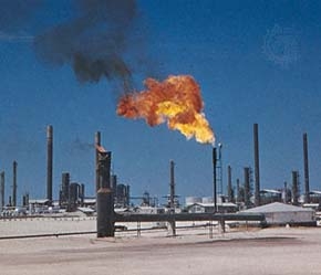 Tổ chức các nước xuất khẩu dầu thô (OPEC) có dấu hiệu sẽ giảm sản lượng