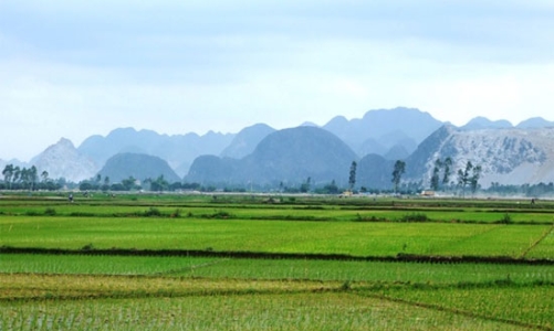 Thống nhất các chỉ tiêu quan trọng trong quy hoạch đất 10 năm tới