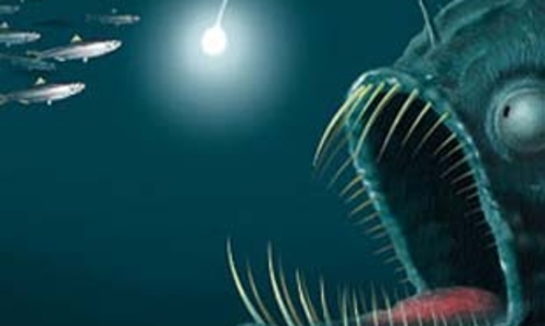 Thận trọng với “tín hiệu” phục hồi: Hai cái bẫy