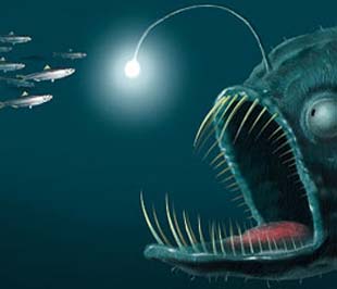 Bản thân niềm lạc quan và tin tưởng cho rằng kinh tế thế giới đã bắt đầu phục hồi đang mang trong mình hai cái bẫy nguy hiểm.