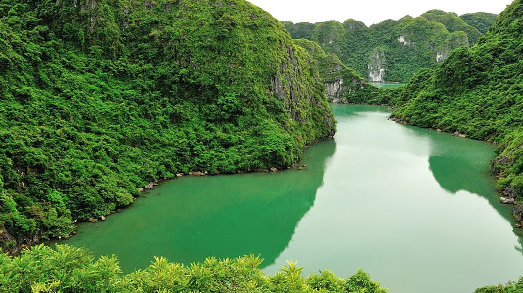 Có 40 dự án được nêu trong bản quy hoạch tổng thể phát triển du lịch bền vững quần đảo Cát Bà đến năm 2025, tầm nhìn đến năm 2050.